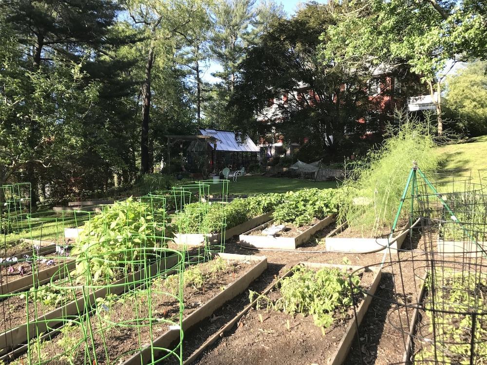 애쉬빌 The Applewood Manor B&B 외부 사진