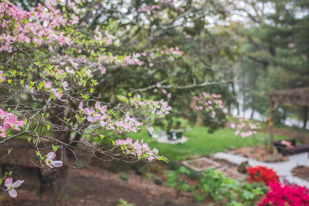 애쉬빌 The Applewood Manor B&B 외부 사진